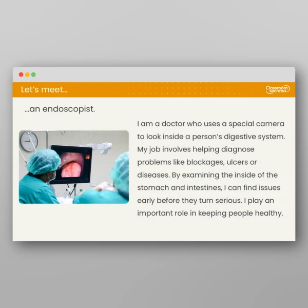 An image of the Lesson 2: How Does the Human Digestive System Work? Resource