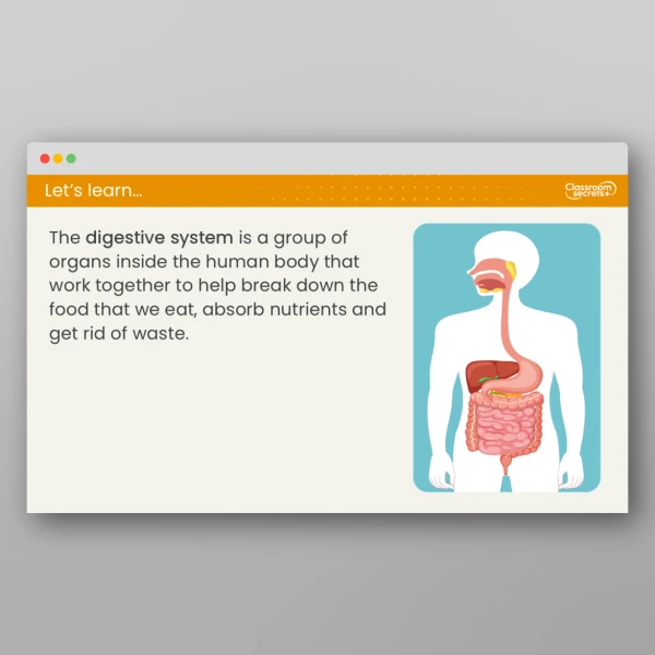 An image of the Lesson 1: What are the Digestive Organs? Resource