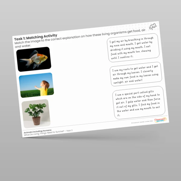 An image of the Lesson 3: Matching Activity Worksheet Resource