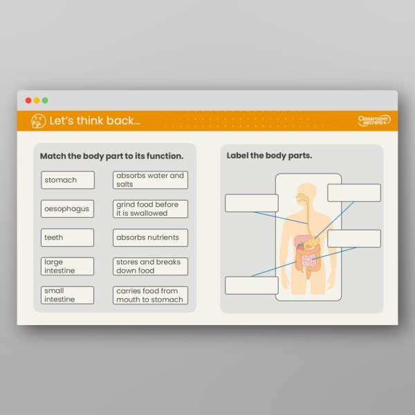 Year 6 What Is The Human Circulatory System Lesson Resource | Classroom ...