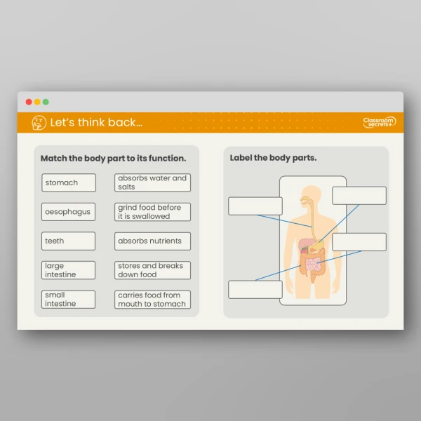 An image of the Lesson 1: What is the Human Circulatory System? Resource