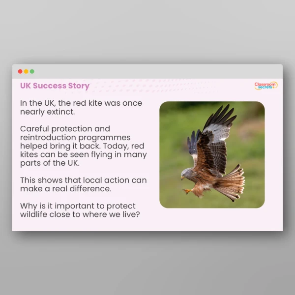 An image of the Endangered Species Whole School Assembly PPT Resource