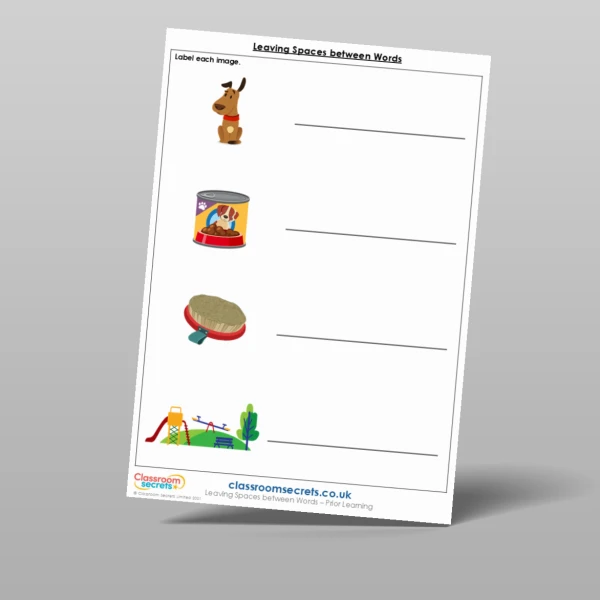 An image of the Leaving Spaces between Words Prior Learning Resource