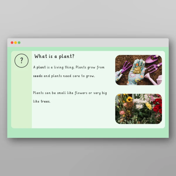 An image of the Plants Introductory PowerPoint Resource