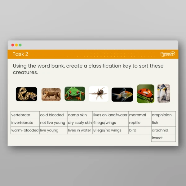 An image of the Lesson 4: What is a Classification Key? Resource