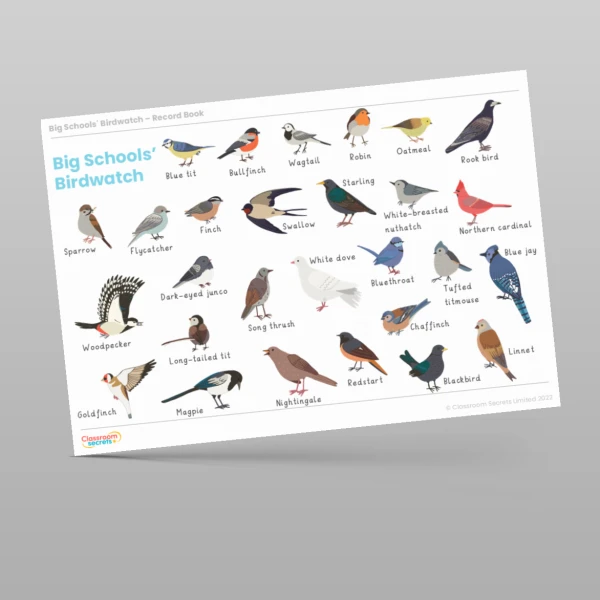 An image of the Big Schools' Birdwatch Record Book Resource