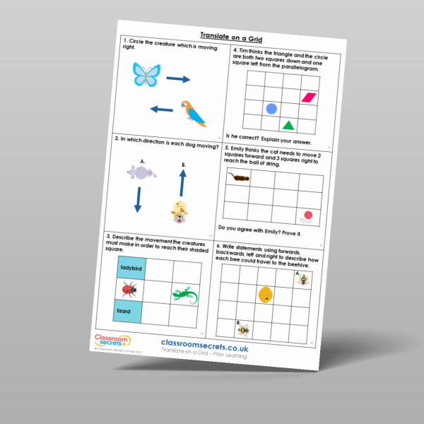 Year 4 Translate On A Grid Prior Learning Resource | Classroom Secrets