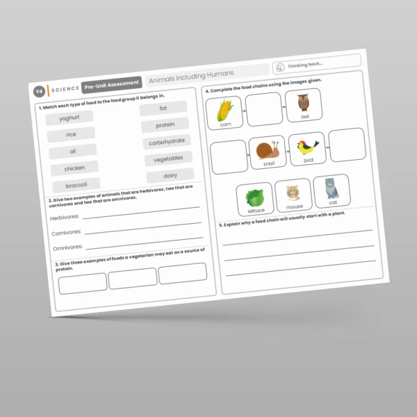 An image of the Animals Including Humans Pre-Unit Assessment Resource