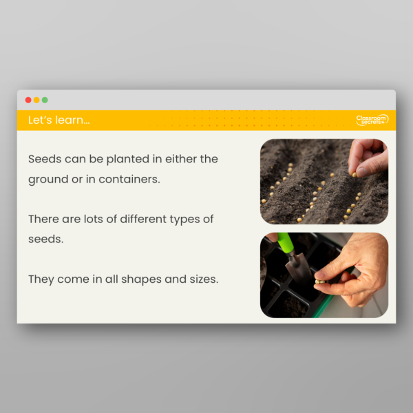 Year 2 What Are Seeds Investigation Lesson Resource | Classroom Secrets