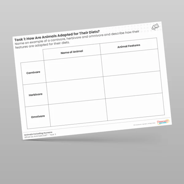 An image of the How Are Animals Adapted for Their Diets? Worksheet Resource