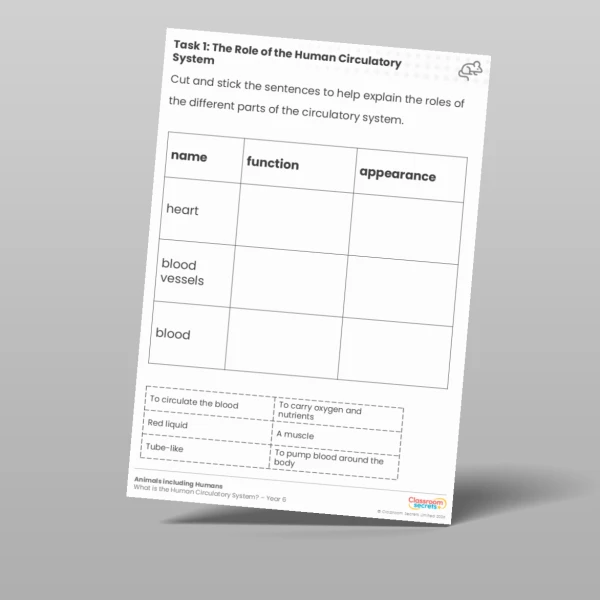 An image of the Free Lesson 1: The Role of the Human Circulatory System Worksheet Resource