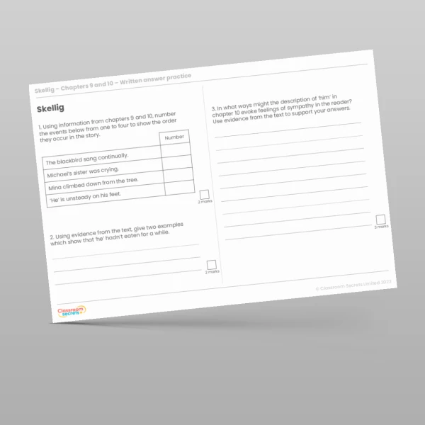 An image of the Reading Skills - Skellig - Chapters 9 & 10 Resource