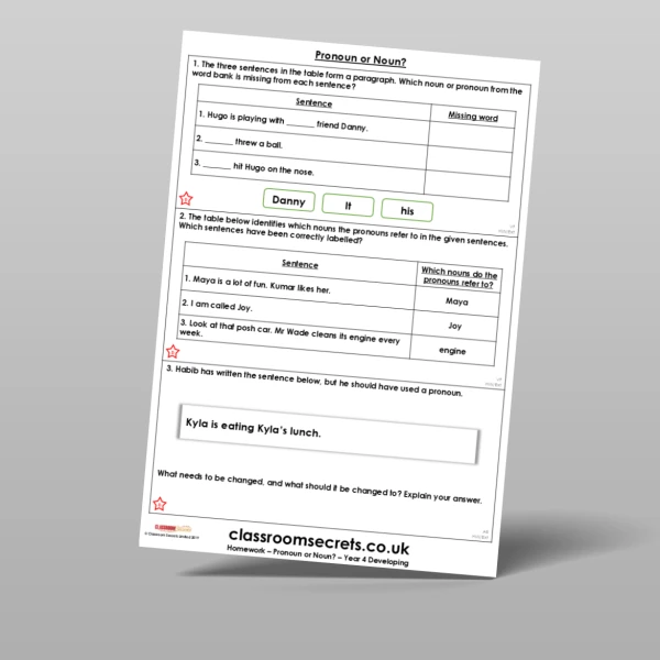 An image of the Pronoun or Noun? Homework Resource
