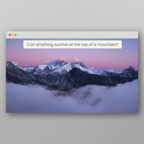 Create Mountains In Javascript LKS2 What Lives In The Mountains Lesson Resource | Classroom Secrets
