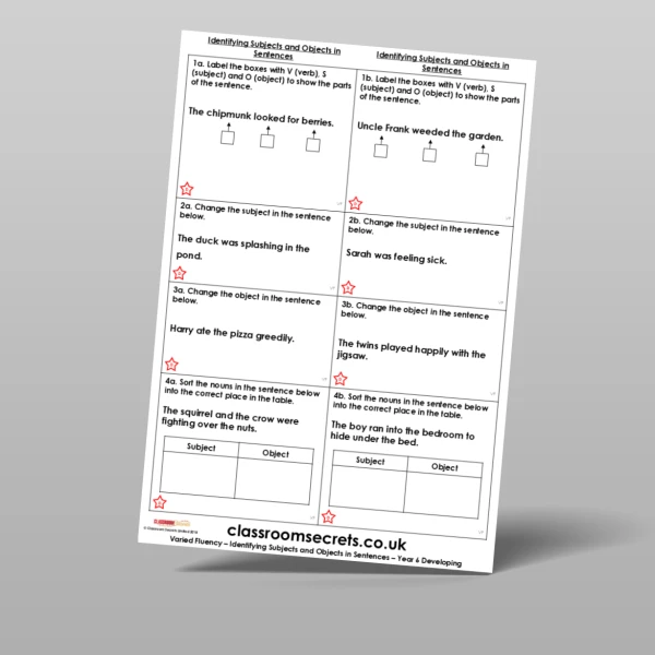 An image of the Identifying Subjects and Objects in Sentences Varied Fluency Resource