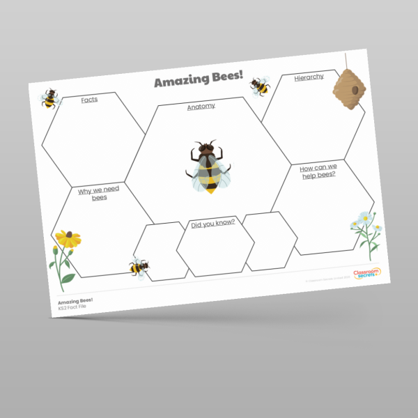 KS2 Amazing Bees Fact File Resource | Classroom Secrets
