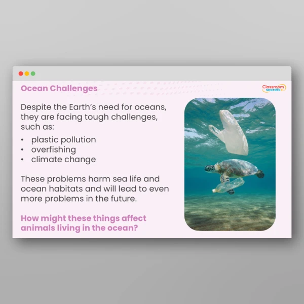 An image of the World Ocean Day Whole School Assembly Resource