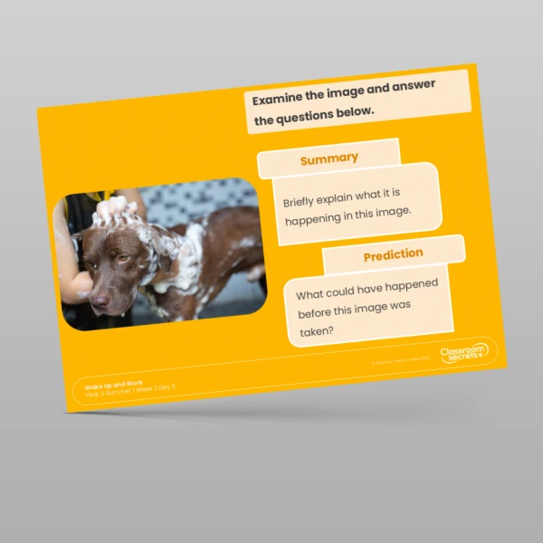 An image of the Summer 1 Week 3 Wake Up and Work Resource