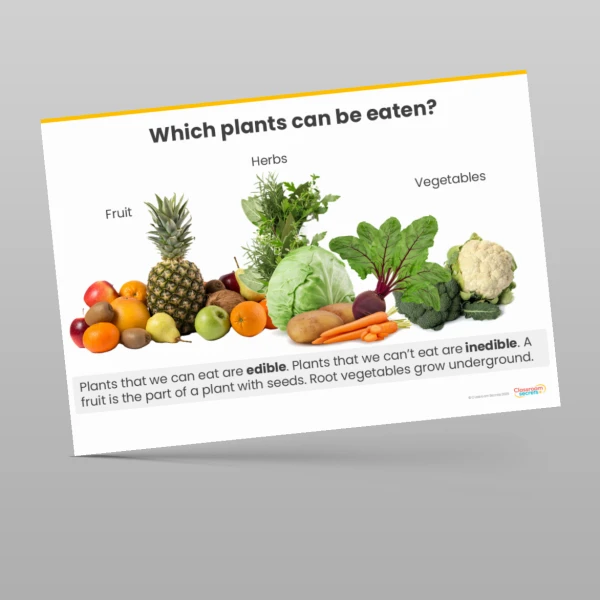 An image of the Plants Display Pack Resource