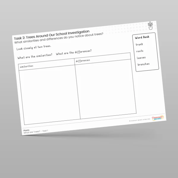 An image of the Lesson 3: Trees Around Our School Investigation Worksheet Resource