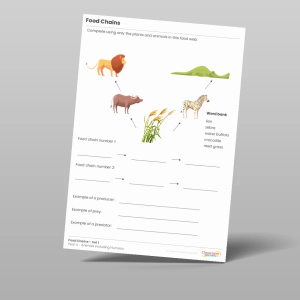 An image of the Food Chains Activity Resource