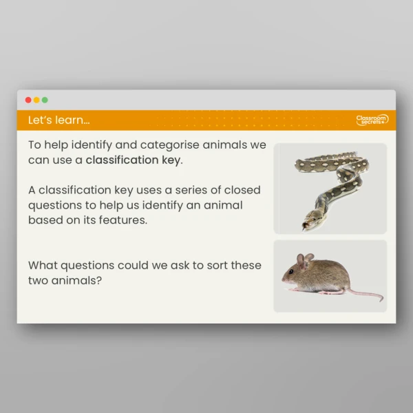 An image of the Lesson 4: What is a Classification Key? Resource