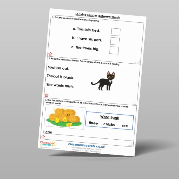 An image of the Leaving Spaces between Words Homework Resource