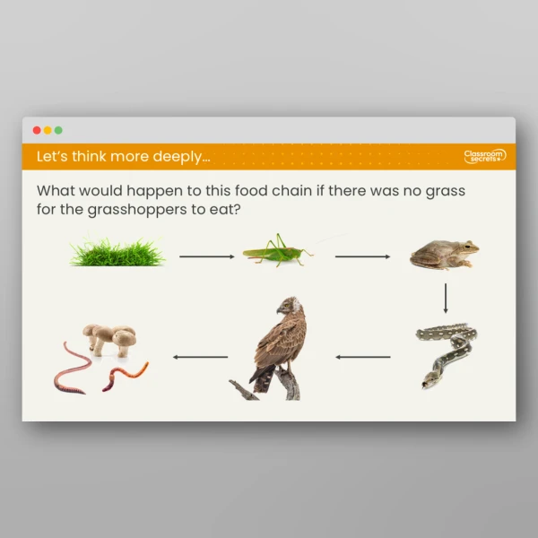 An image of the Lesson 6: Producer, Predator or Prey? Resource