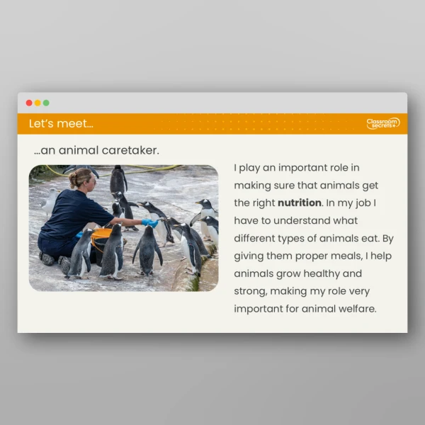 An image of the Lesson 2: What Do Animals Eat? Resource
