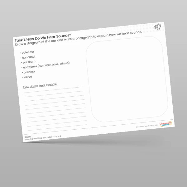 An image of the Lesson 2: How Do We Hear Sounds? Worksheet Resource
