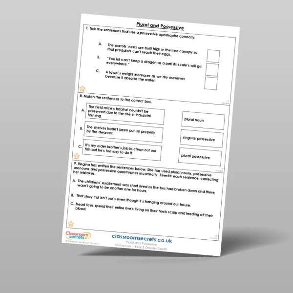 An image of the Plural and Possessive Homework Resource
