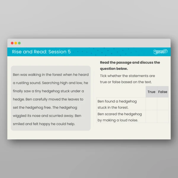 An image of the Rise and Read Set 5 Resource