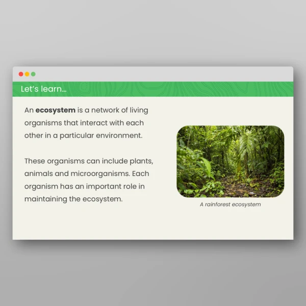 An image of the All About Ecosystems Geography PPT Resource