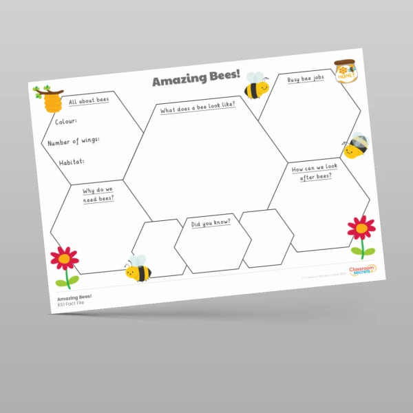 An image of the Amazing Bees Fact File Resource