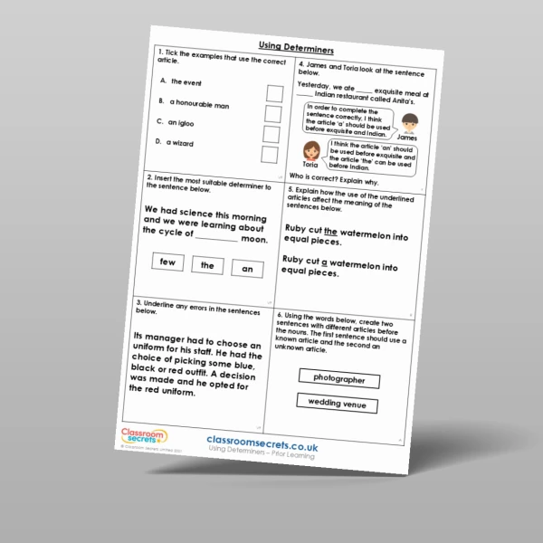 An image of the Using Determiners Prior Learning Resource