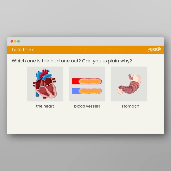 An image of the Lesson 3: What Role does Blood Have in the Body? Resource