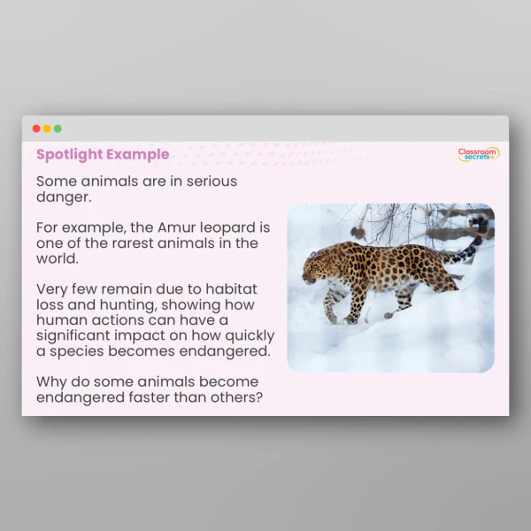 An image of the Endangered Species Whole School Assembly PPT Resource