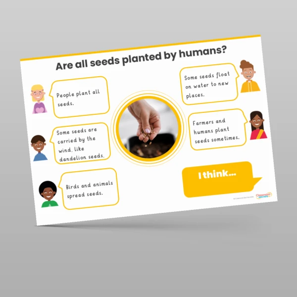 An image of the Plants Concept Cartoons Resource