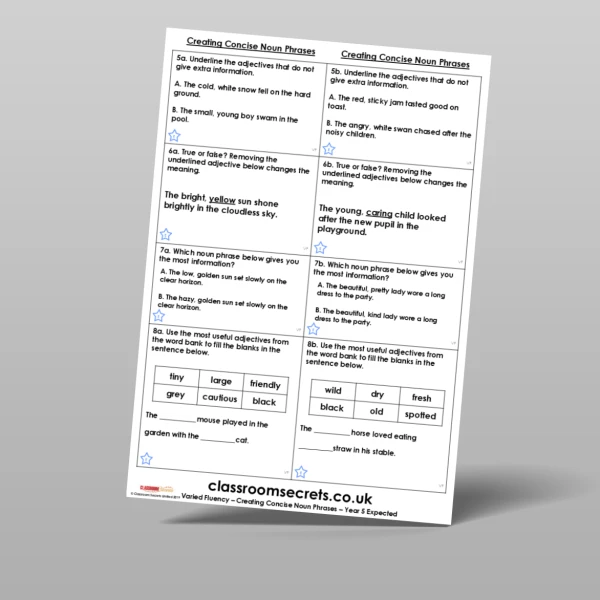 An image of the Creating Concise Noun Phrases Varied Fluency Resource