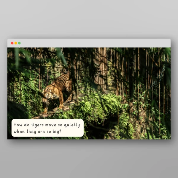 An image of the Amazing World - Rainforest I Wonder Discussion Prompts Resource