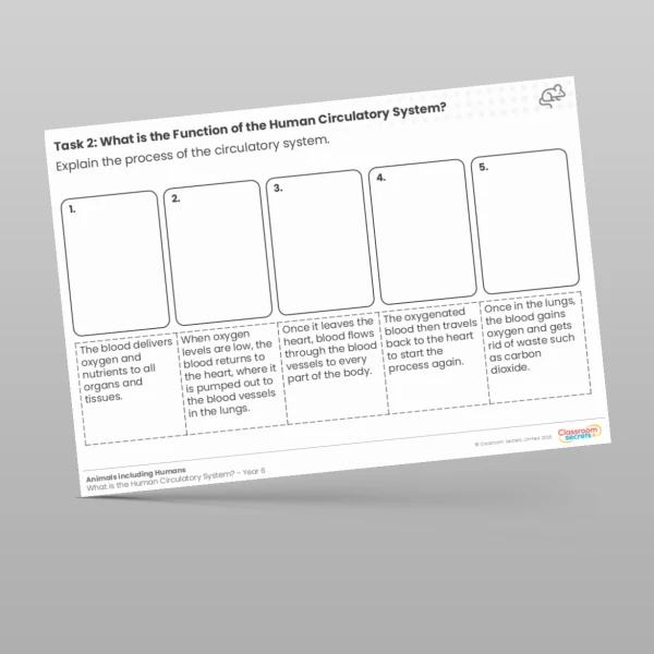 An image of the Lesson 1: What is the Function of the Human Circulatory System? Worksheet Resource