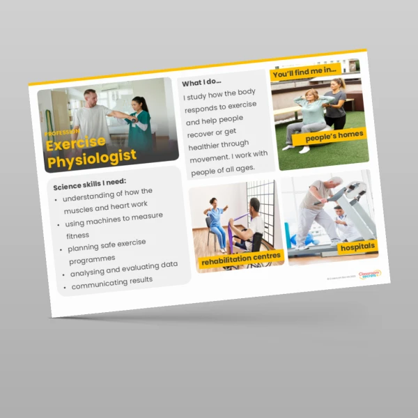 An image of the Animals including Humans Display Pack Resource