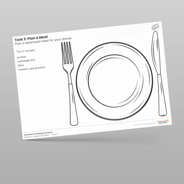 An image of the Lesson 5: Plan a Meal Worksheet Resource