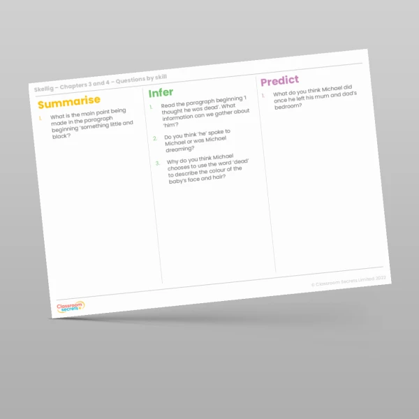 An image of the Reading Skills - Skellig - Chapters 3 & 4 Resource