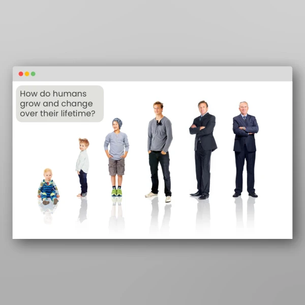 An image of the Lesson 1: What are the Stages of the Human Life Cycle? Resource