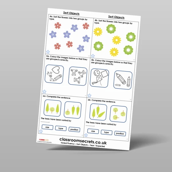 An image of the Sort Objects Varied Fluency Resource