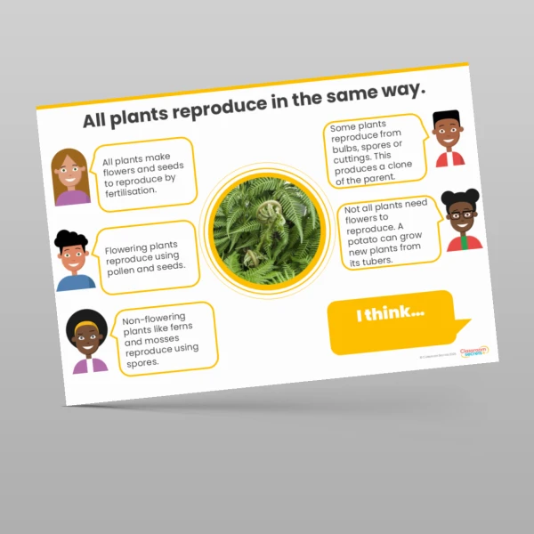 An image of the Living Things and their Habitats Concept Cartoons Resource