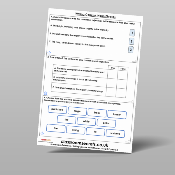 Year 5 Writing Concise Noun Phrases Homework Resource | Classroom Secrets