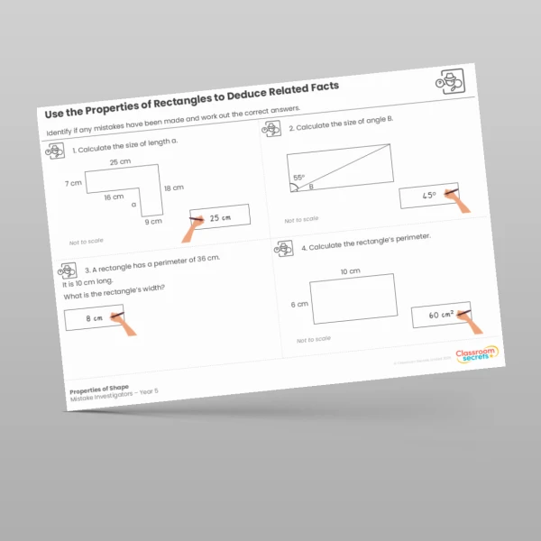 An image of the Properties of Shape Mistake Investigators Resource