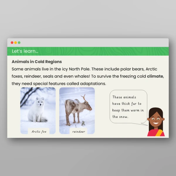 An image of the Comparing Animals in Hot and Cold Regions Geography PowerPoint Resource
